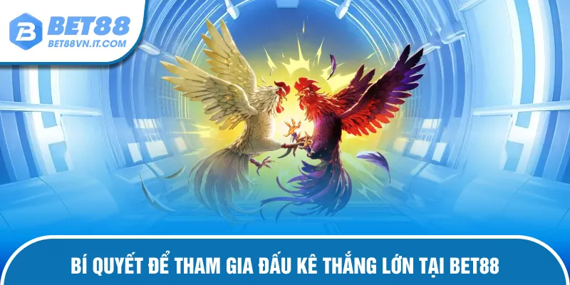 Đá Gà Bet88 – Chiến Kê Tranh Tài Trận Đấu Cực Kỳ Mãn Nhãn Bí quyết chơi đấu kê giành chiến thắng lớn