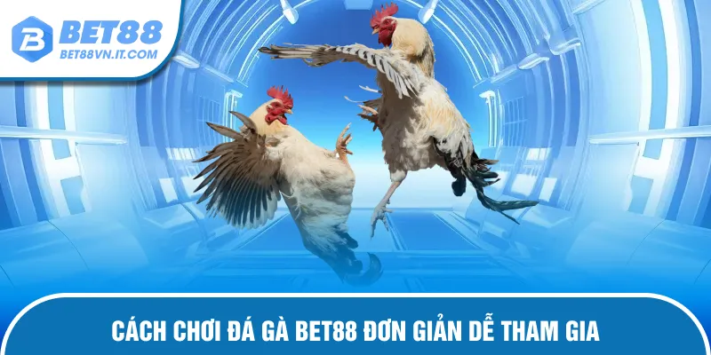 Đá Gà Bet88 – Chiến Kê Tranh Tài Trận Đấu Cực Kỳ Mãn Nhãn Hướng dẫn cược đấu kê đơn giản