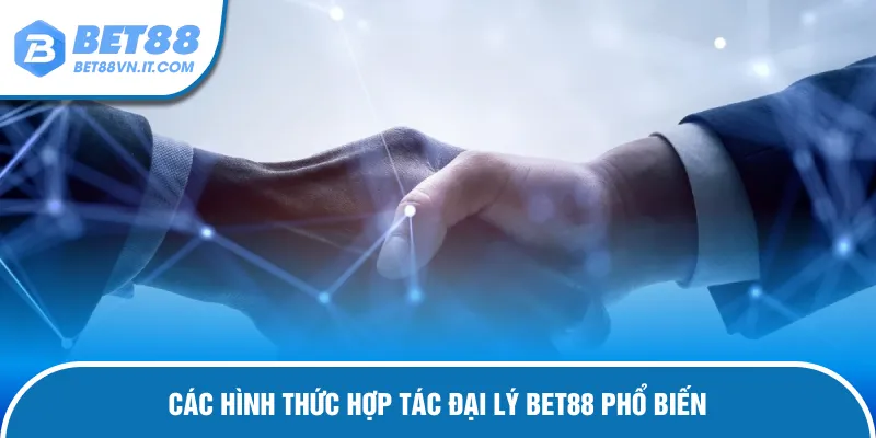 Đại Lý Bet88 – Hướng Dẫn Cách Hợp Tác Và Nhận Hoa Hồng Hình thức cấp bậc phân chia cụ thể