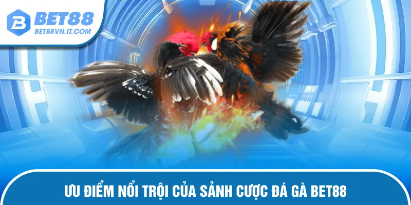 Đá Gà Bet88 – Chiến Kê Tranh Tài Trận Đấu Cực Kỳ Mãn Nhãn Ưu điểm nổi trội của sảnh cược đá gà Bet88